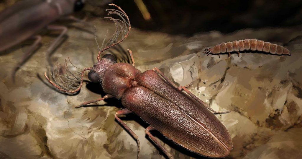 A 100-million-year-old beetle fossil sheds light on the ancient insect family