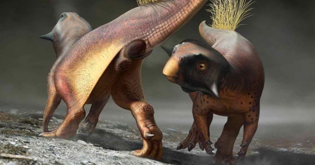 Paleontologists finally take their first good look at the back of a dinosaur