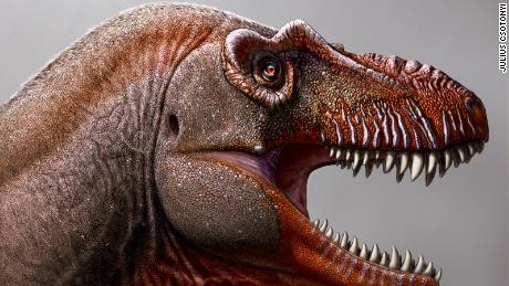 A farmer discovers a new type of dinosaur, one of the oldest dinosaurs to have ever existed